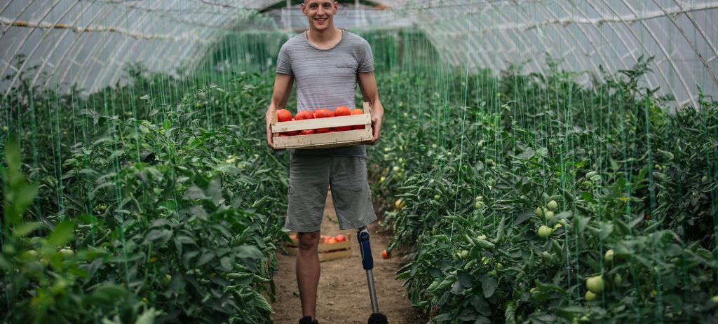 A tall skinny man with a prosthetic leg stands in the middle of an overgrown greenhouse, he's carrying a wooden basket of fresh tomatoes.